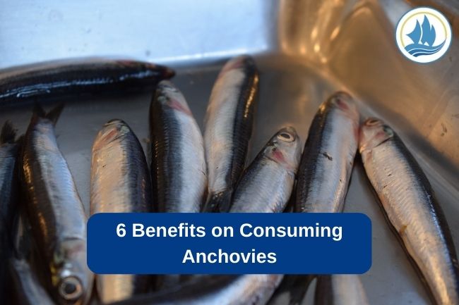 6 Benefits on Consuming Anchovies